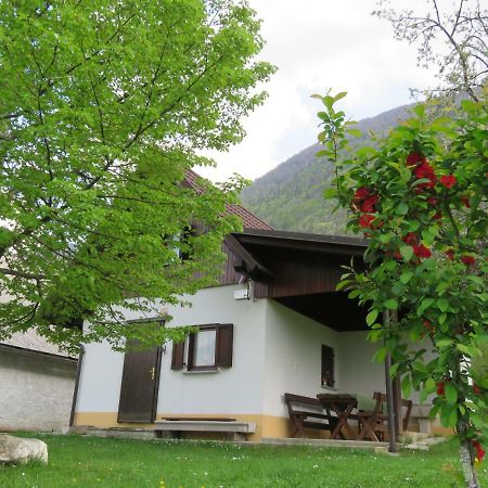 Pocitniska Hiska Jager Cezsoca Villa Kültér fotó