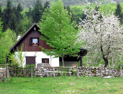 Pocitniska Hiska Jager Cezsoca Villa Kültér fotó
